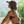 Senda Natural Straw Hat - Espresso