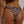 Aira High Waisted Bikini Bottoms - Zebra