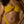 Luna Brazilian Bikini Bottom - Yellow Ochre