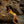Load image into Gallery viewer, Luna Brazilian Bikini Brief - Yellow Ochre
