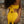 Load image into Gallery viewer, Estella High Waisted Bikini Brief - Yellow Ochre
